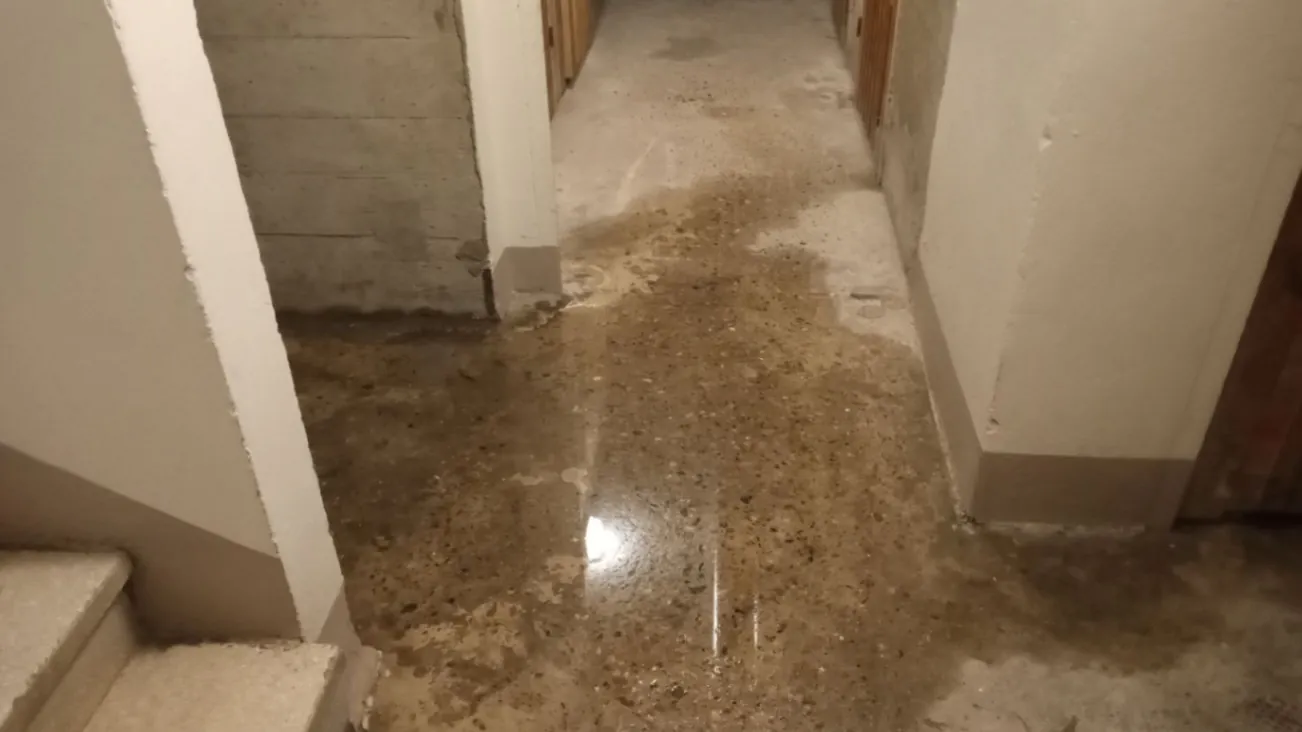 Dégât des eaux dans un logement à Saint-Étienne suite à une fuite non détectée